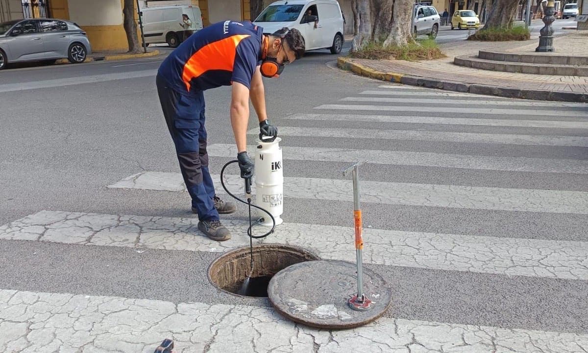 Melilla intensifica la desinsectación contra las cucarachas en la zona centro
